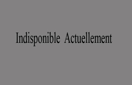 indisponible-425×274